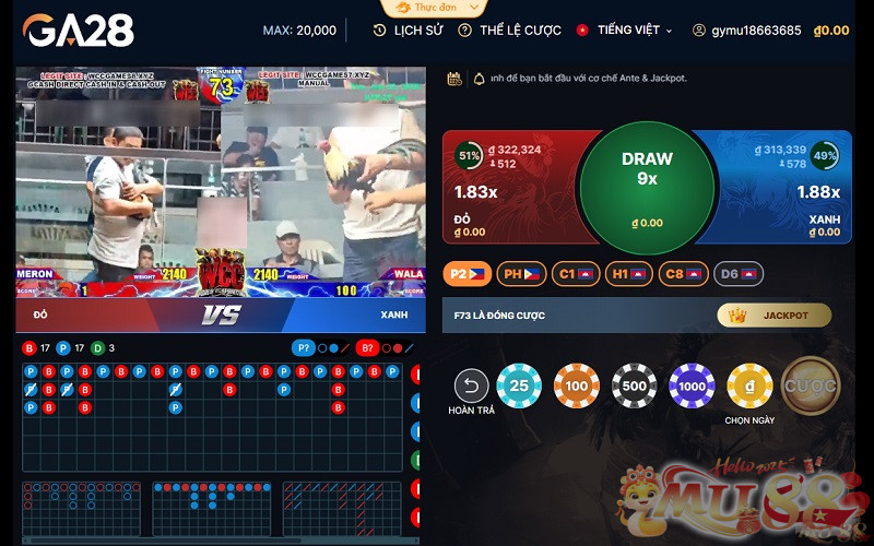 Chờ trận đấu diễn ra, theo dõi kết quả cuối cùng